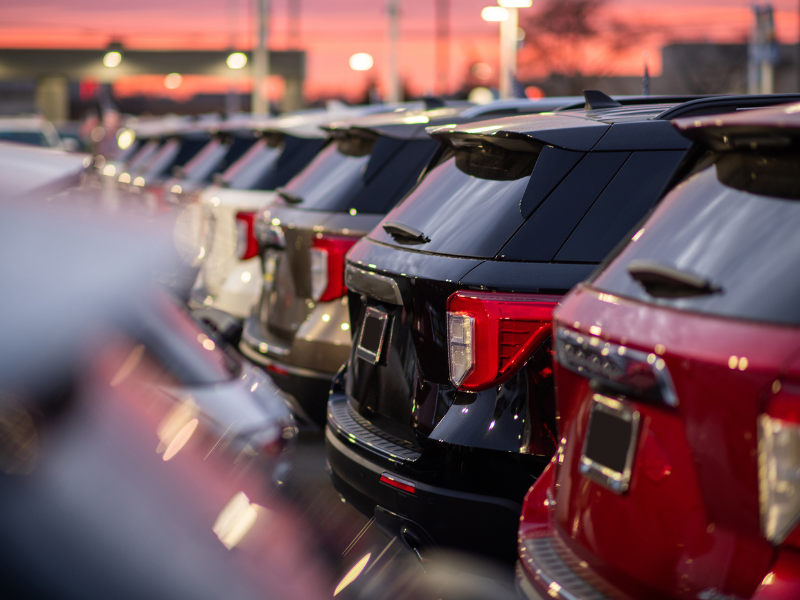 Cars lined up at a dealership.