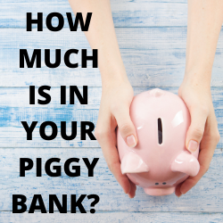 piggy MR