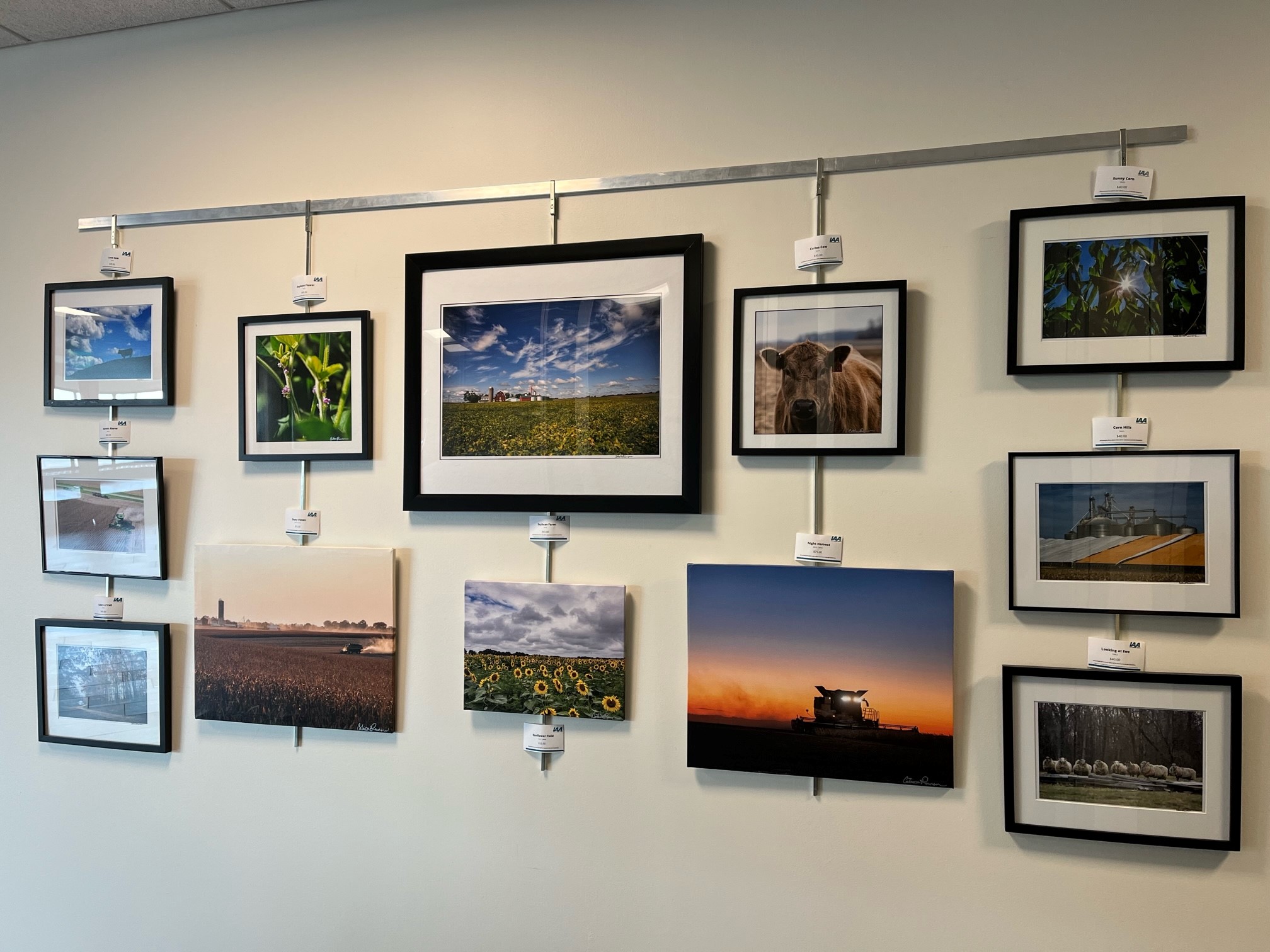 Artwork hung up on a white wall