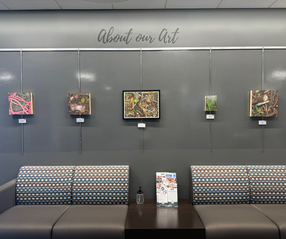 Amy Yeager's art on display in IAACU lobby.