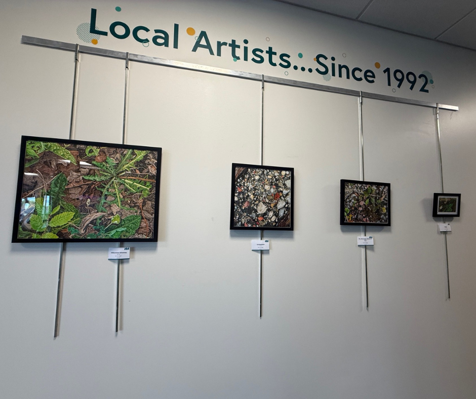 Amy Yeager's art on display at IAACU.