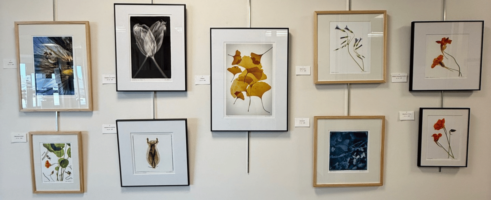 Ken Kashian artwork on display in IAA Credit Union lobby.