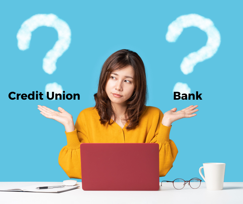 Credit Union vs Bank Image
