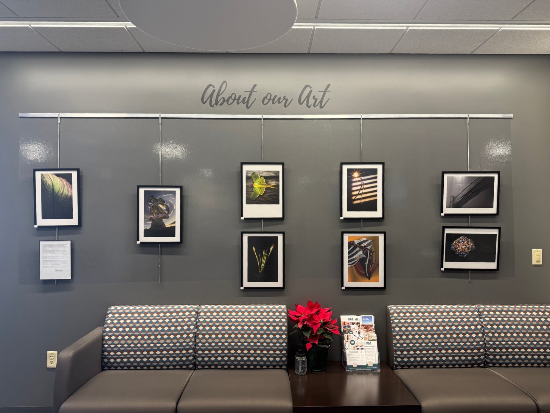 Gary Fern's artwork on display at IAA Credit Union.