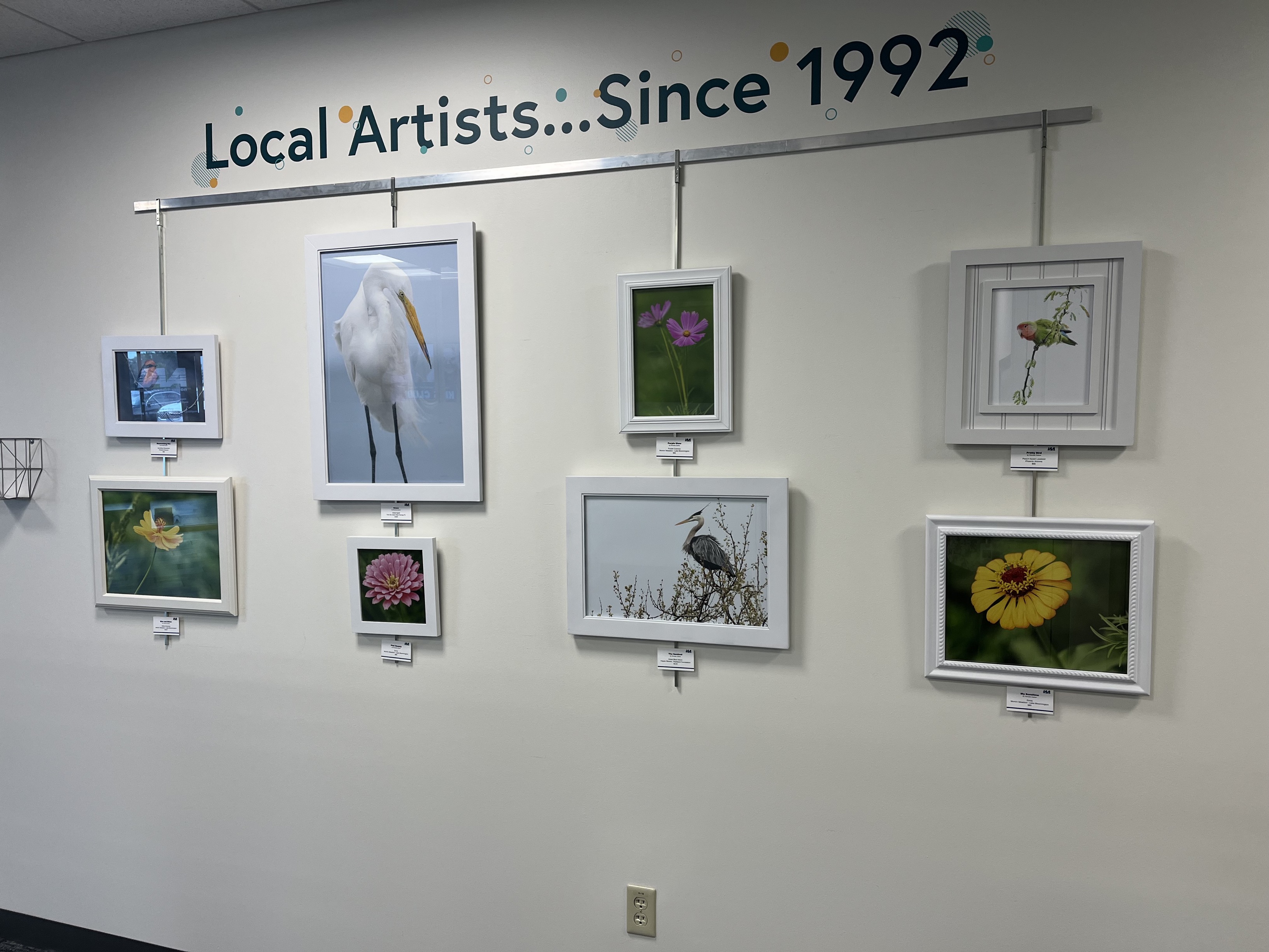 Photos of animals and flowers by Pamela Cather